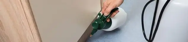 Bed bug exterminator treating baseboards and cracks with targeted spray in Tempe, AZ