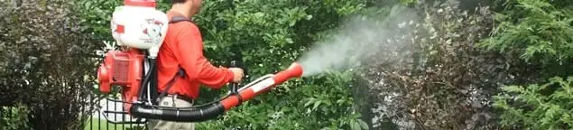 Mosquito control technician fogging shrubs and landscaping for mosquito treatment in Tempe, AZ