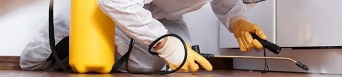 Roach exterminator treating cracks and crevices along kitchen baseboards in Tempe, AZ