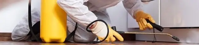 Roach exterminator treating cracks and crevices along kitchen baseboards in Tempe, AZ