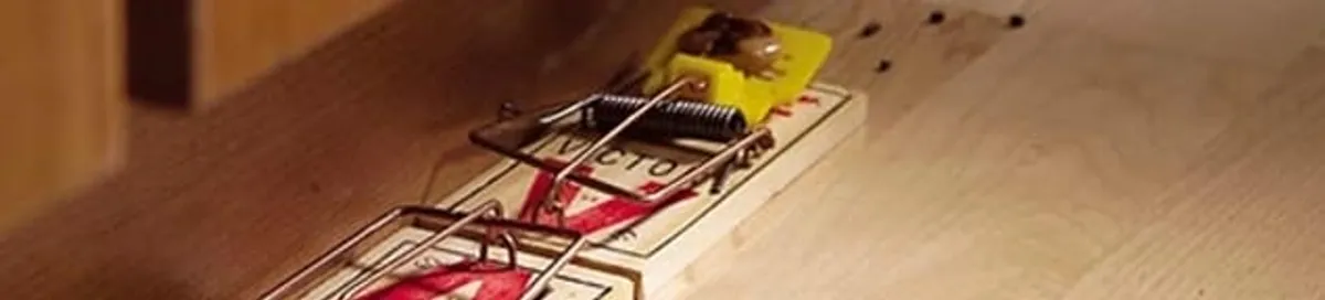 Rodent trap set indoors for rodent control and prevention in Tempe, AZ