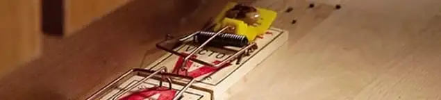 Rodent trap set indoors for rodent control and prevention in Tempe, AZ